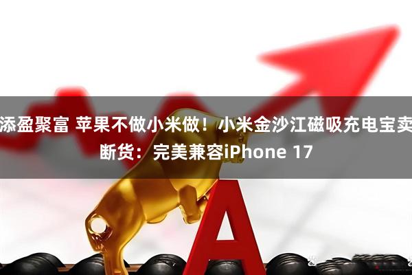 添盈聚富 苹果不做小米做！小米金沙江磁吸充电宝卖断货：完美兼容iPhone 17