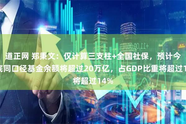 道正网 郑秉文：仅计算三支柱+全国社保，预计今年底同口径基金余额将超过20万亿，占GDP比重将超过14%