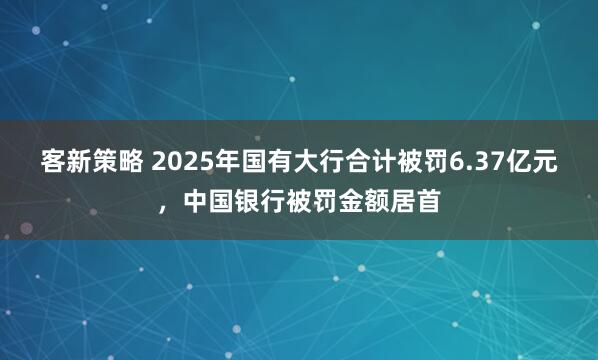 客新策略 2025年国有大行合计被罚6.37亿元，中国银行被罚金额居首