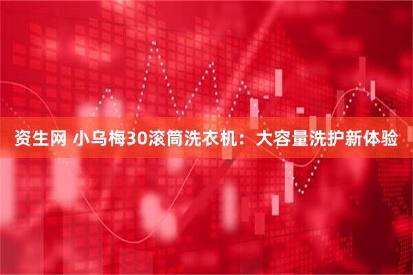资生网 小乌梅30滚筒洗衣机:大容量洗护新体验