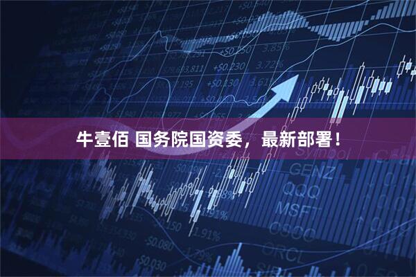 牛壹佰 国务院国资委，最新部署！