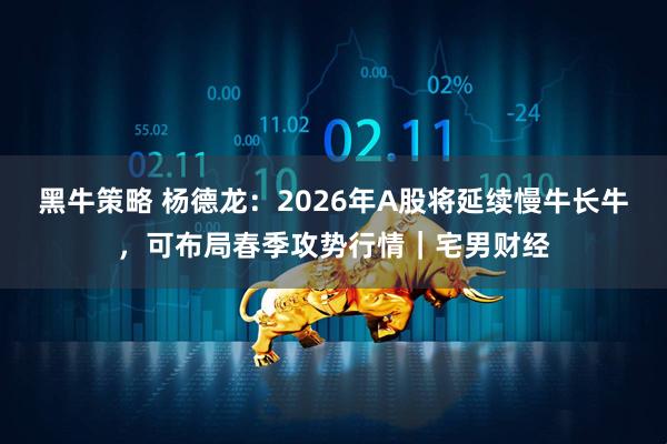 黑牛策略 杨德龙：2026年A股将延续慢牛长牛，可布局春季攻势行情｜宅男财经