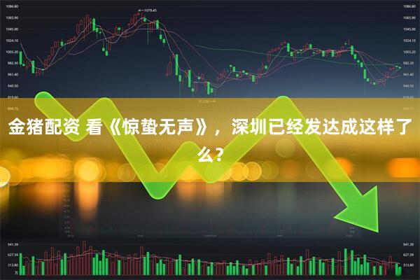 金猪配资 看《惊蛰无声》，深圳已经发达成这样了么？